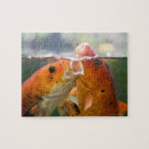 Puzzle Carpas de Koi