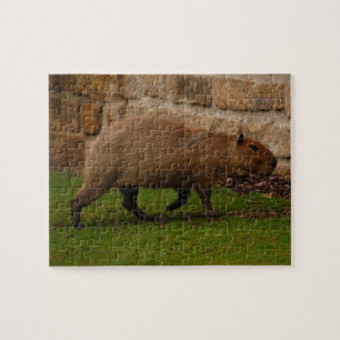 Puzzle carpincho