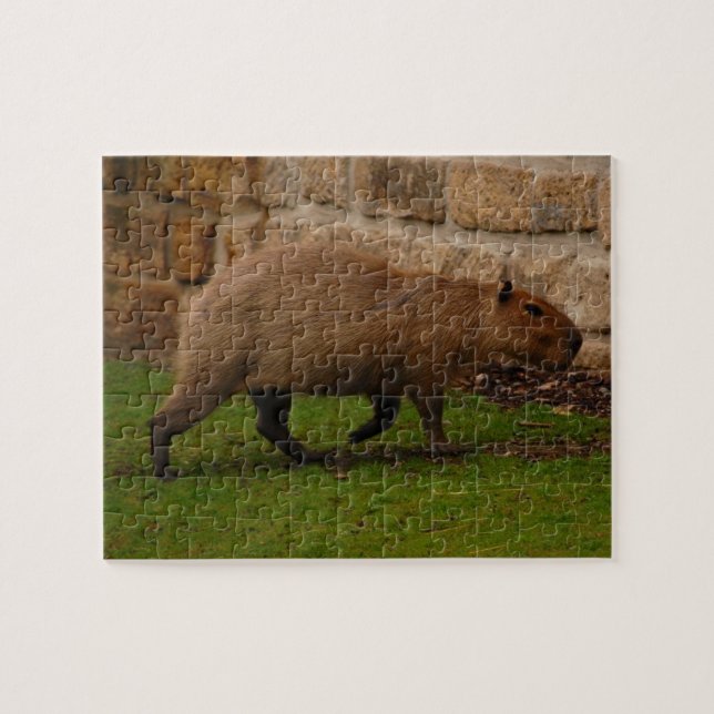 Puzzle carpincho (Horizontal)