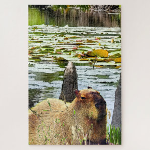 Puzzle Carpincho - Pneumatofitos - Vida silvestre