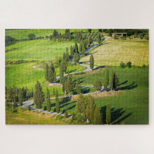 Puzzle Carretera con curvas con los árboles de ciprés en
