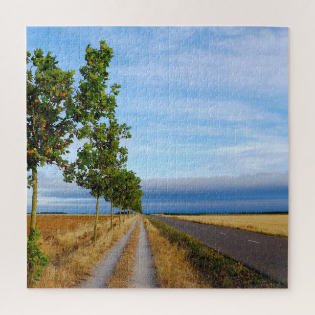 Puzzle Carretera Hacia Reliegos (Vertical)