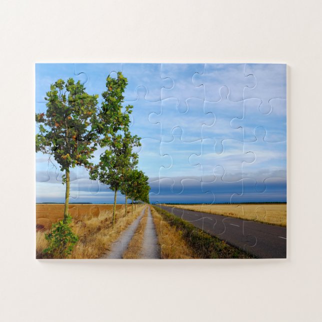 Puzzle Carretera Hacia Reliegos (Horizontal)