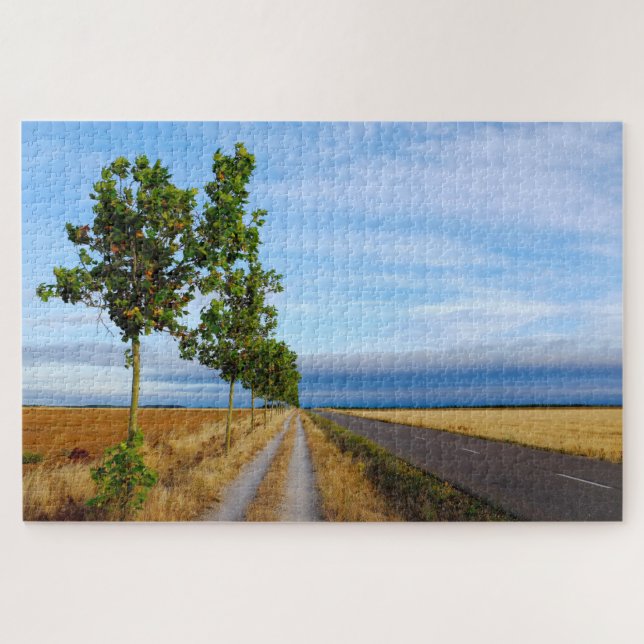 Puzzle Carretera Hacia Reliegos (Horizontal)