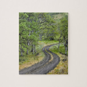 Puzzle Carretera rural a través de árboles, Oregon