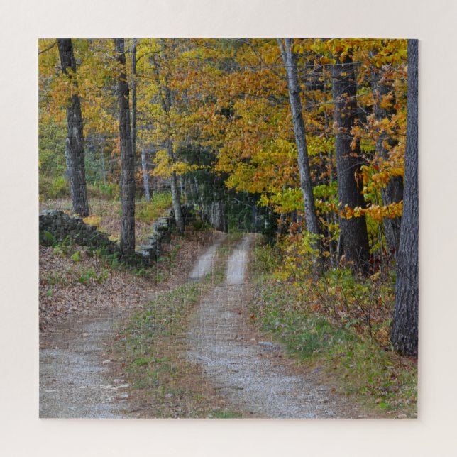 Puzzle Carretera rural en otoño (Vertical)