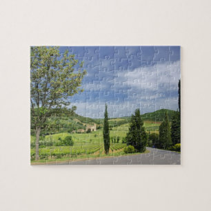 Puzzle Carretera rural que se curva entre cipreses en