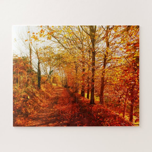 Puzzle Carril de Jersey en otoño (Horizontal)