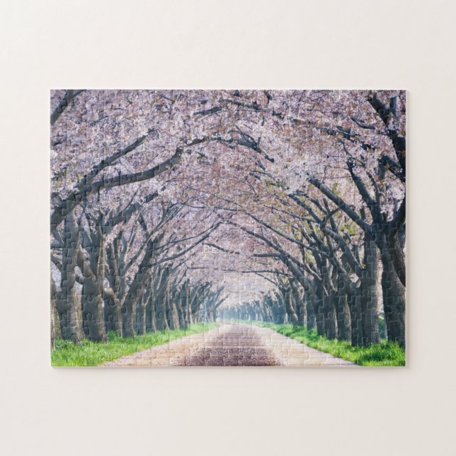 Puzzle Carril de la flor de cerezo (Horizontal)