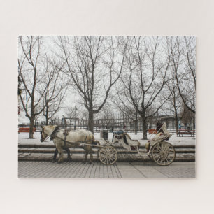 Puzzle Carruaje de Caballos Montreal.