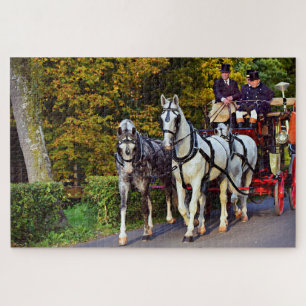 Puzzle Carruaje tirado por caballos en el parque