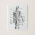 Puzzle Carta humana de la anatomía<br><div class="desc">Regalos de la diversión de las etiquetas musculares y esqueléticas de la carta humana de la anatomía grandes para su médico preferido o estudiante de medicina. También grande para consiga pronto los regalos bien. neurología</div>