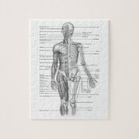 Carta humana de la anatomía
