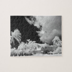 Puzzle casa de Florida Keys y sus palmeras, EE. UU.