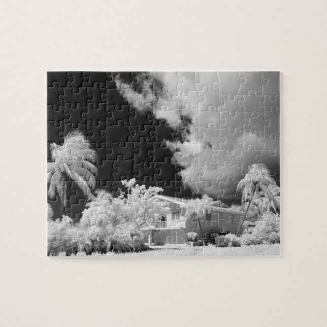 Puzzle Casa Florida Keys y sus palmeras, Estados Unidos. (Horizontal)