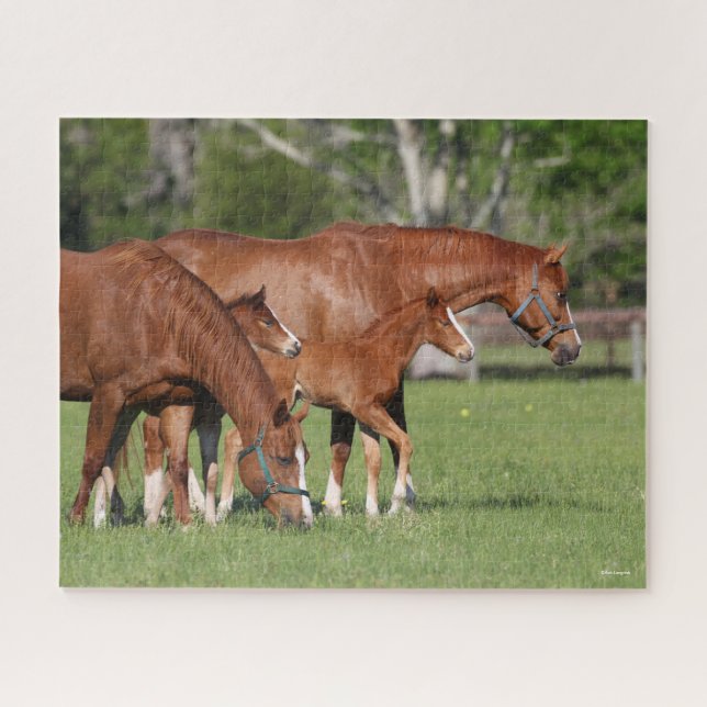 Puzzle Casas de castaño y caballos (Horizontal)