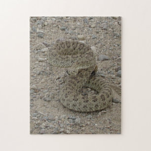 Puzzle Cascabel de pradera R9 enroscada