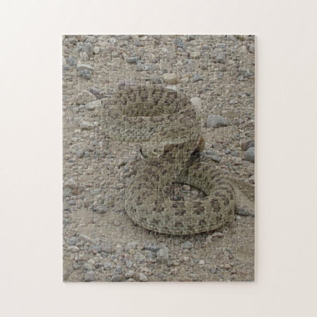 Puzzle Cascabel de pradera R9 enroscada (Vertical)