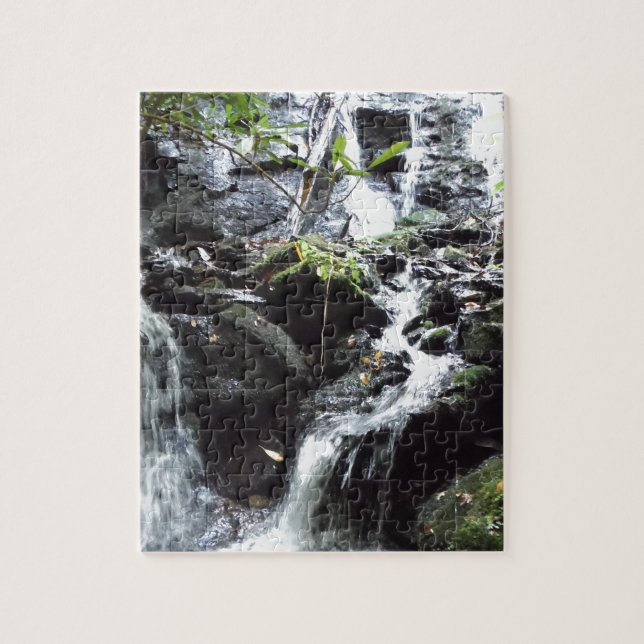 Puzzle Cascada de montaña húmeda secreta (Vertical)
