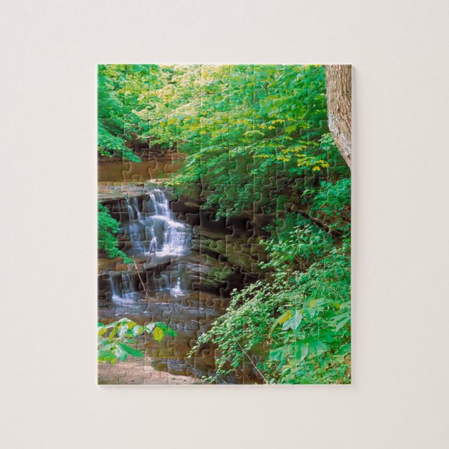 Puzzle Cascada en el parque de estado hambriento de la (Vertical)