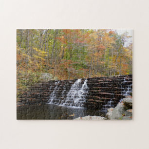 Puzzle Cascada en el Parque Estatal Laurel Hill I