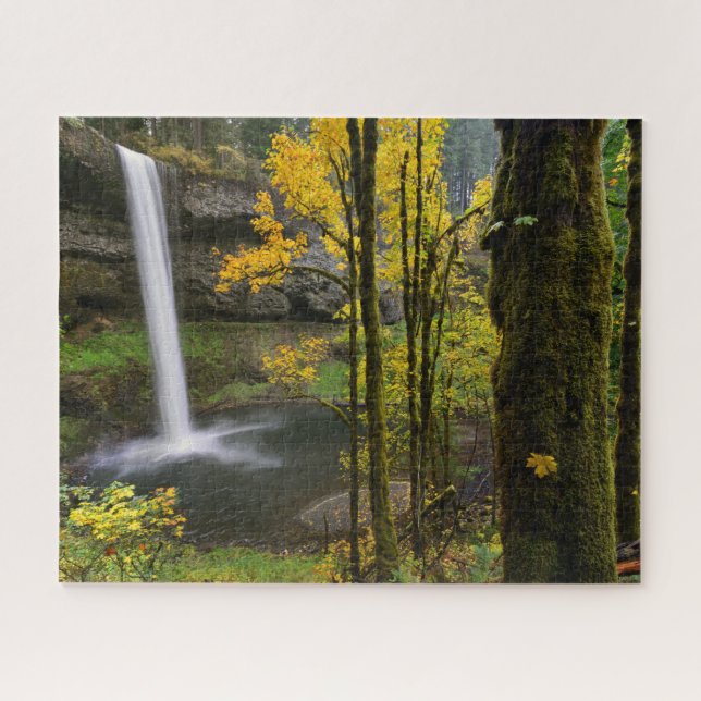Puzzle Cascada en otoño en el Parque Estatal Silver Falls (Horizontal)