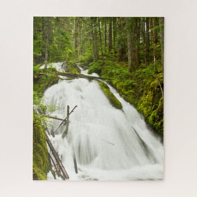 Puzzle Cascada Little Zig Zag | Bosque Nacional Monte Hoo (Vertical)