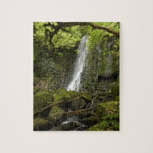 Puzzle Cascada Matai, Catlins, South Otago