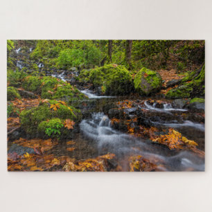 Puzzle Cascada Starvation Creek   Columbia Gorge, Oregon