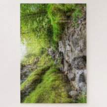 Cascada superficial de Creek