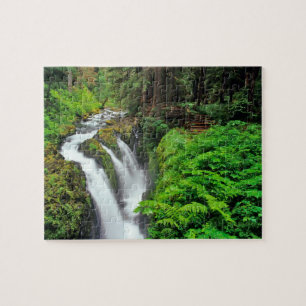 Puzzle Cascadas Sol Duc en el Parque Nacional Olímpico en