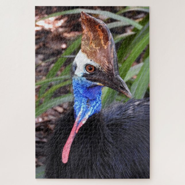 Puzzle Cassowary del Sur (Vertical)