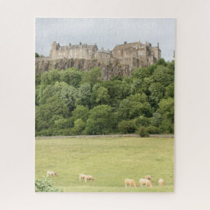 Puzzle castillo agitador alto