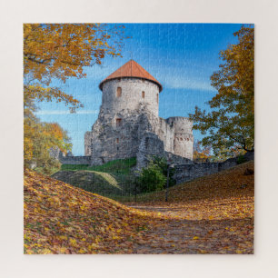 Puzzle Castillo medieval rodeado de bosques