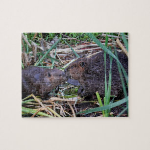 Puzzle Castores que besan la foto