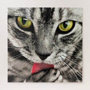 Puzzle Cat Cleaning -