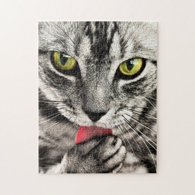 Puzzle Cat Cleaning (Vertical)