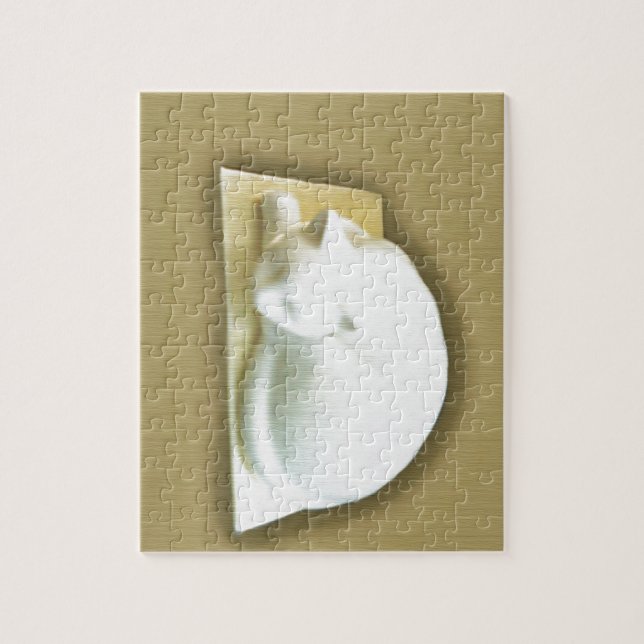 Puzzle Cat on Gold Box II (Vertical)