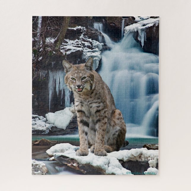 Puzzle "Cataratas Bobcat" (Vertical)