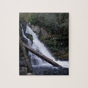 Puzzle Cataratas de Abrams