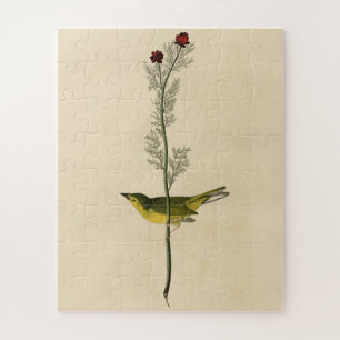 Puzzle Catcher de la mosca de Selby - Aves de América de 