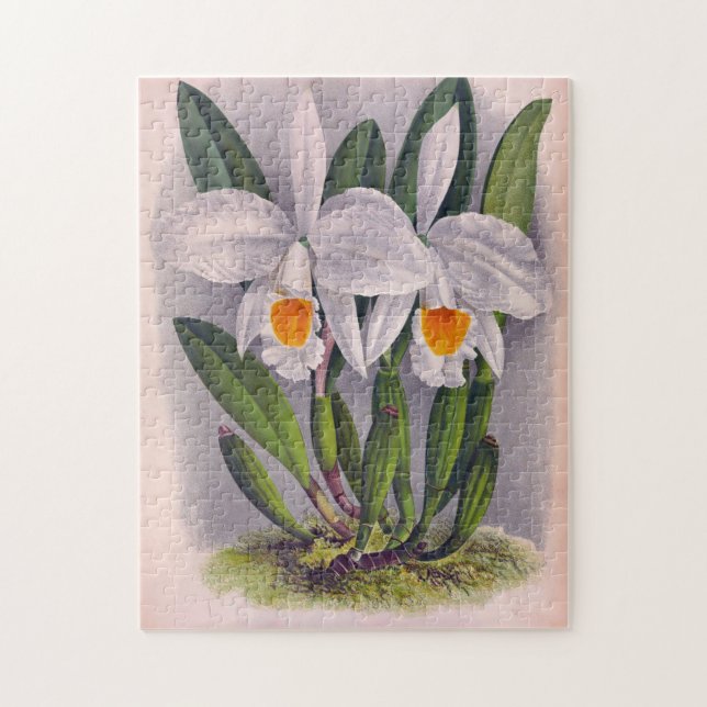 Puzzle Cattleya Virginalis Lindenia Vintage White Orchids (Vertical)