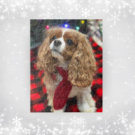 Puzzle Cavalier King Charles Spaniels Con Bufanda De Invi