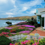 Puzzle Cayucos California<br><div class="desc">Este elegante rompecabezas cuenta con una hermosa inyección de flores en flor contra las olas en Cayucos, California. Este pintoresco pueblecito de playa es realmente un lugar perfecto para la vida costera de un pueblo pequeño, lejos del tráfico y de la gente tanto del área de la bahía como de...</div>