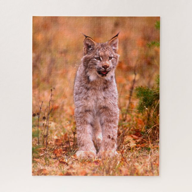 Puzzle Caza Bobcat | Bosque otoñal (Vertical)