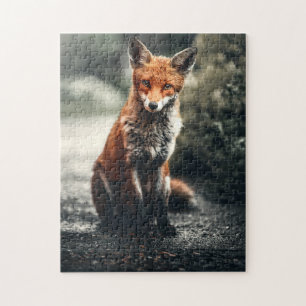 Puzzle Caza de animales silvestres de Red Fox en el paisa