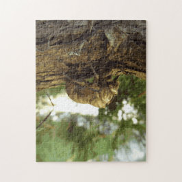 Puzzle Caza de Cicada. Tenía prisa.