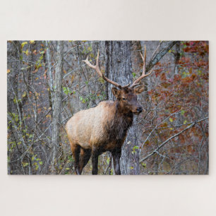 Puzzle Cazador de Gran Juego - Alce Macho - 20x30 pulgada