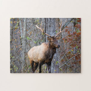 Puzzle Cazador de grandes juegos - Alce toro - 11x14 pulg