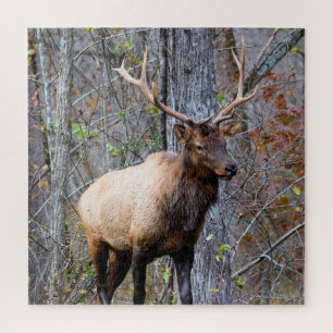 Puzzle Cazador de grandes juegos - Toro Elk - 20x20 pulga